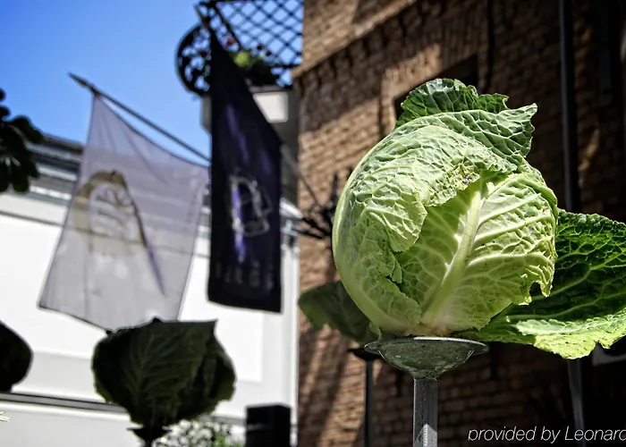 Bergs - Small Luxury Of The World