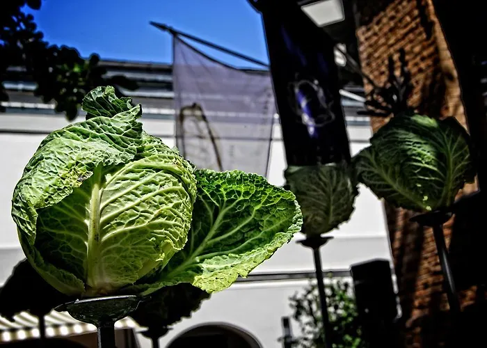 Bergs - Small Luxury Of The World