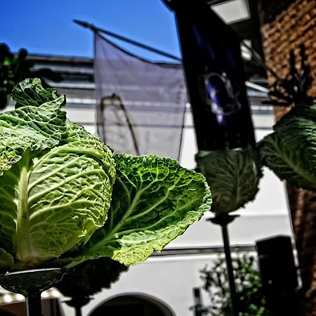 Bergs - Small Luxury Of The World